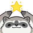 Raccoon_Star