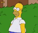 HomerBushes