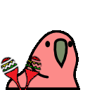 maracas_parrot animated emote | ✦Sleepy Hollow✦