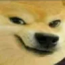 tharkidoge