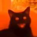demoncat