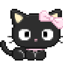 echococat