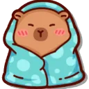 Capybara_Cosy