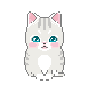 ccatpat3