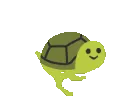 turtlecoincheetah