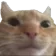 neutralcat