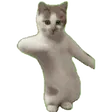 katdog2Dancingcat