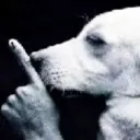 sshhh
