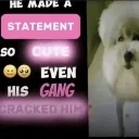 emoji_3 emoji_3