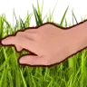 touchgrass