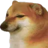 doggo_sad