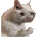 yasscat Discord sticker - ✦Sleepy Hollow✦