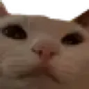 emoji_71