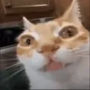 erm