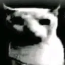 c_despair