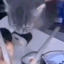 sushisteal animated GIF emoji - Makai 18+