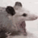 ratScream animated GIF emoji - Makai 18+