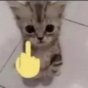 fuckyou custom emote from Makai 18+