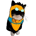 invincipur