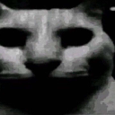 A distorted, low-quality grayscale cat face with dark, hollow eyes staring directly forward.