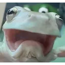 aAaaa