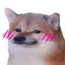 dog_shy custom emote - ♡ Dhadkan || Chill・Social・Dating・Hindi・Fun・Active・VC