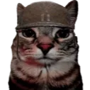 armycat