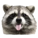 tongueout