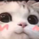 8767emoji_41 custom emote | ♡ Dhadkan || Chill・Social・Dating・Hindi・Fun・Active・VC