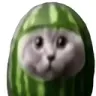 14055618552290344962