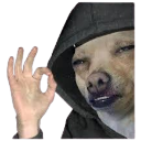 perfeito custom emote | ⚡ Universo Gamer | conversas & jogos #200