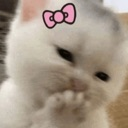 cat_hehe Discord sticker from '' ₊🌷⁺ Ask To DM ❥ Egirls ❥ Nitro ❥ Make Friends ❥ VC ❥ Tags ❥ Hangout ❥ Ask2DM ❥ Sfw ❥ Non Dating