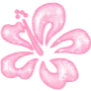 PinkHibiscus