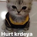 Beloved_Hurt_Krdeya Discord sticker - ♡ Dhadkan || Chill・Social・Dating・Hindi・Fun・Active・VC