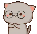 catglassesnod