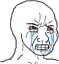 wojak_crying
