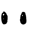 oczy Discord sticker | Cukierniczka