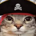 CattoPirate