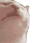 vibecat Discord emoji