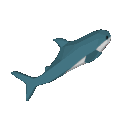 blahajspin Discord emoji