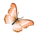 butterfly animated Discord emote - ♡ Dhadkan || Chill・Social・Dating・Hindi・Fun・Active・VC