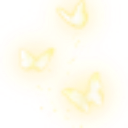 butterfly1 custom emote | ♡ Dhadkan || Chill・Social・Dating・Hindi・Fun・Active・VC