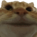 emojigg_yes animated emote - 𝗖𝘂𝗱𝗱𝗹𝘆 𝗖𝗿𝗶𝘁𝘁𝗲𝗿𝘀