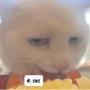 :emoji_12:
