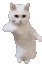 CatTime animated Discord emote | Makai 18+