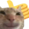 1491937562955350026