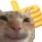 <:1491937562955350026:1497662499389182155>