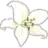 coolwhiteflower