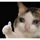 5312cutecat4