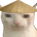 chinacat